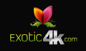 Exotic 4k
